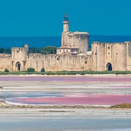Studio En Petite Camargue Le Cailar Exterior photo